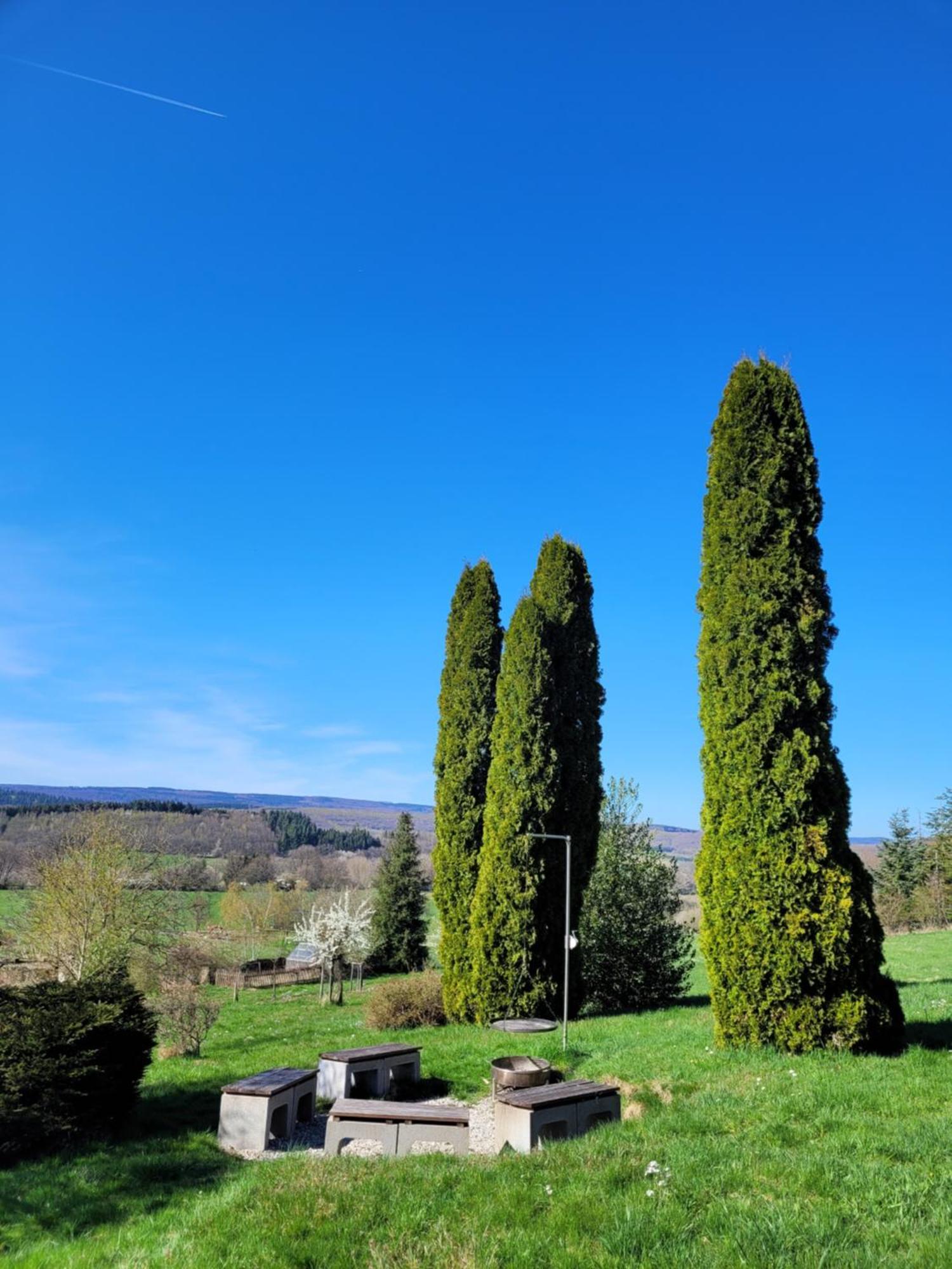 Ferienhaus Wilder Hunsrueck Schmissberg 外观 照片